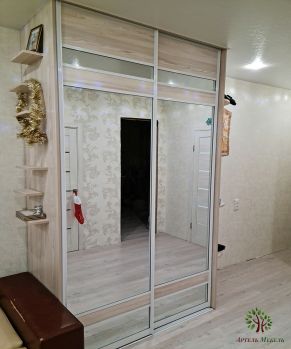 Шкаф Купе Зеркальный с дсп в Кричеве