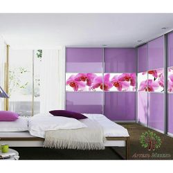 Двери купе lacobel lilac photo printing