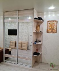 Шкаф Купе Зеркальный с дсп в Кричеве